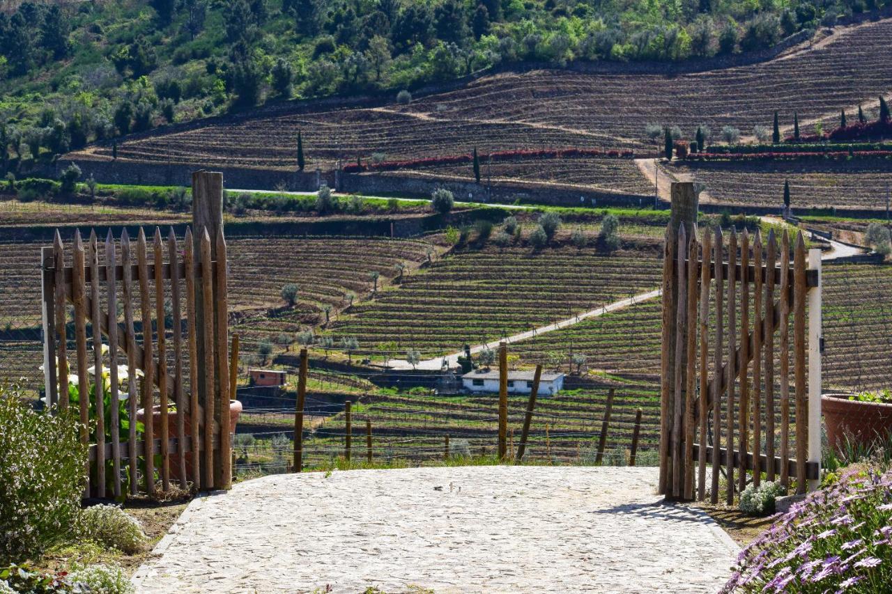 Quinta Dos Padrinhos - Suites In The Heart Of The Douro Lamego Εξωτερικό φωτογραφία