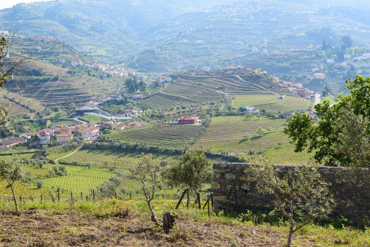 Quinta Dos Padrinhos - Suites In The Heart Of The Douro Lamego Εξωτερικό φωτογραφία