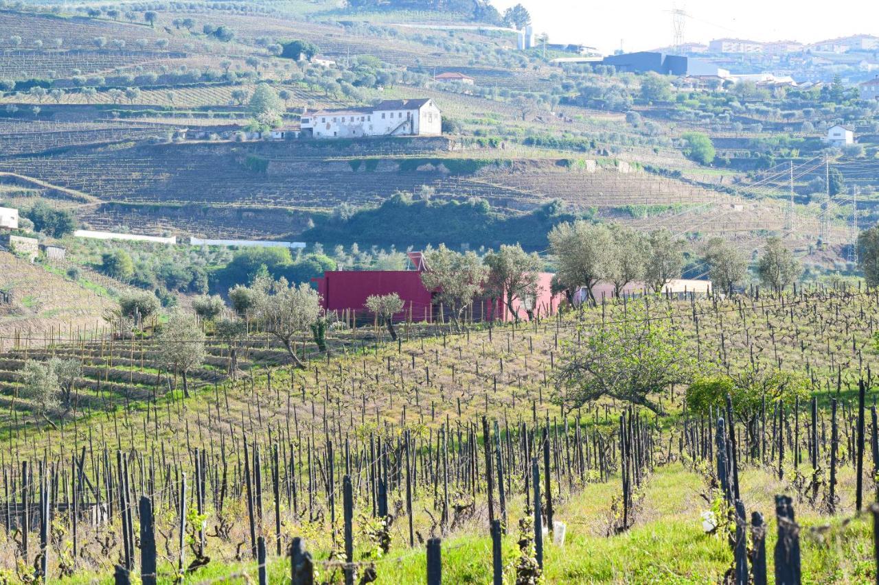 Quinta Dos Padrinhos - Suites In The Heart Of The Douro Lamego Εξωτερικό φωτογραφία