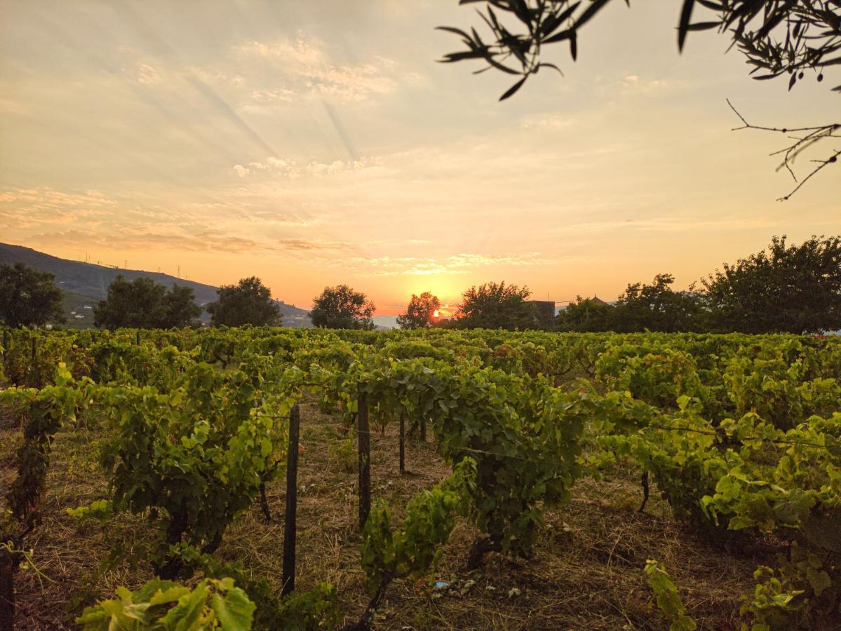 Quinta Dos Padrinhos - Suites In The Heart Of The Douro Lamego Εξωτερικό φωτογραφία