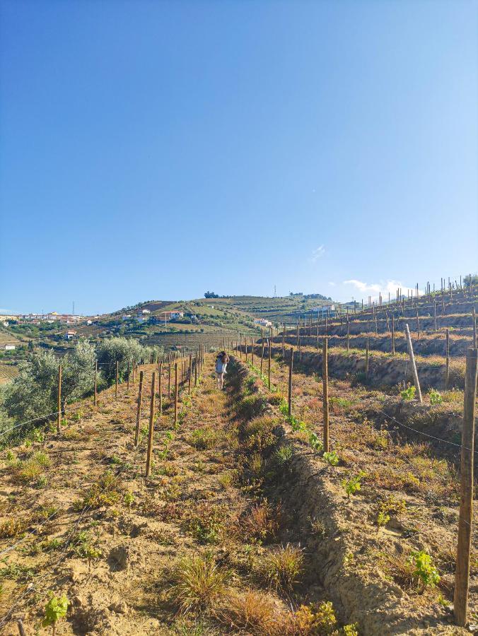 Quinta Dos Padrinhos - Suites In The Heart Of The Douro Lamego Εξωτερικό φωτογραφία