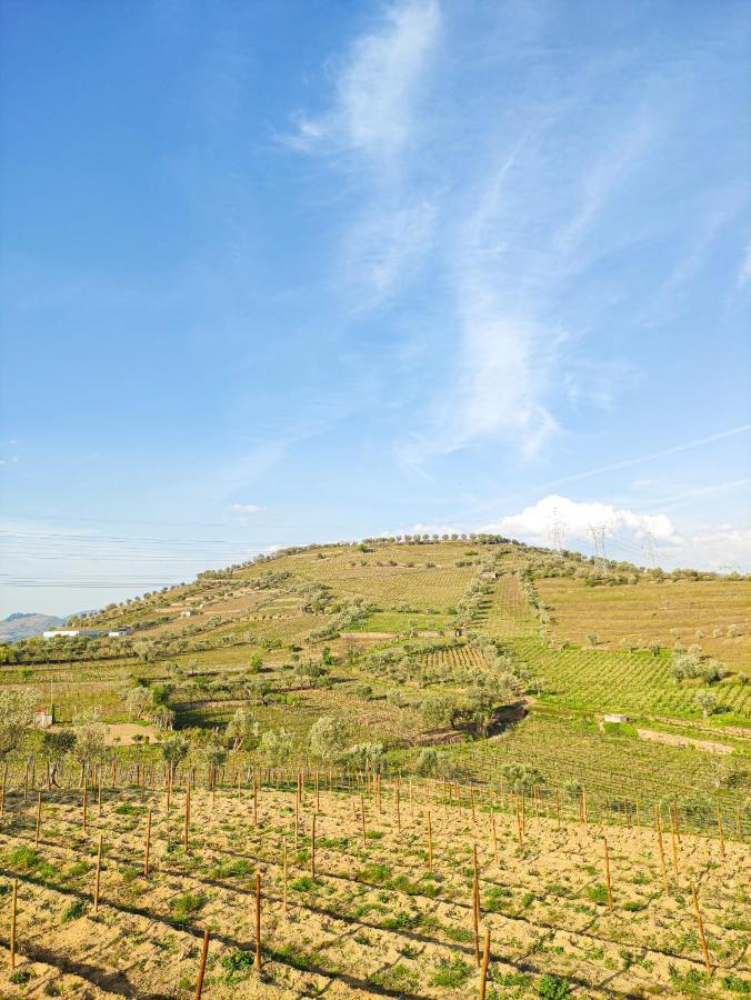 Quinta Dos Padrinhos - Suites In The Heart Of The Douro Lamego Εξωτερικό φωτογραφία