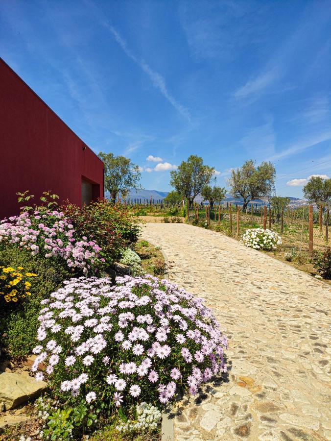 Quinta Dos Padrinhos - Suites In The Heart Of The Douro Lamego Εξωτερικό φωτογραφία