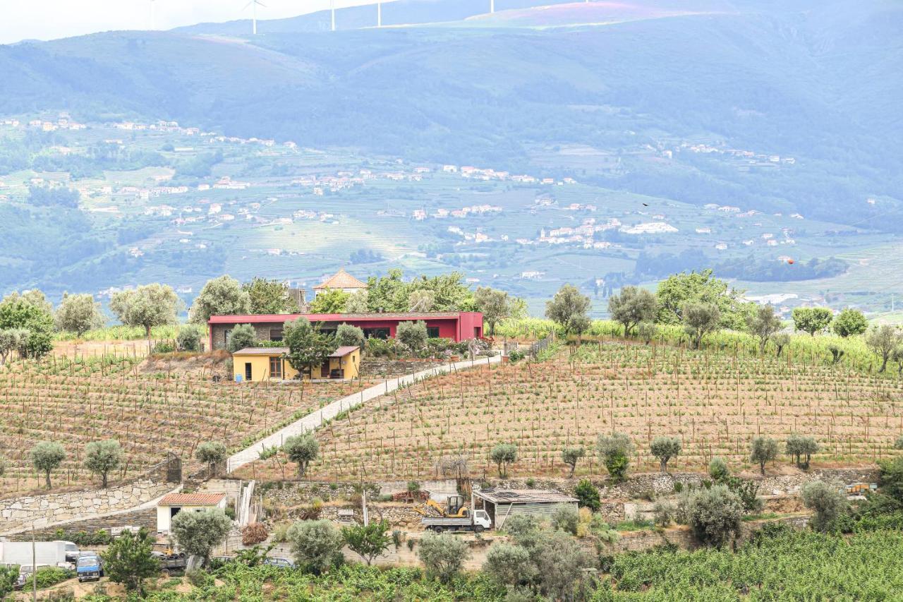 Quinta Dos Padrinhos - Suites In The Heart Of The Douro Lamego Εξωτερικό φωτογραφία
