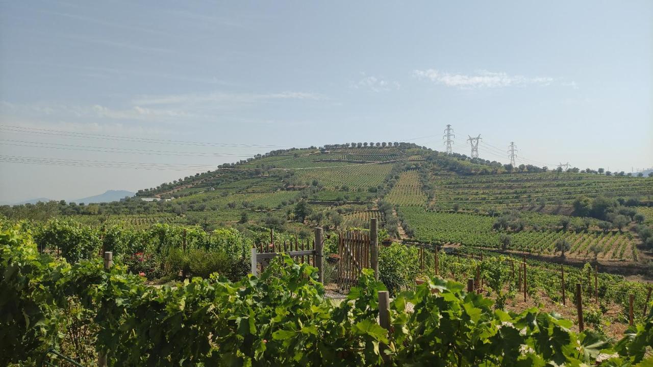 Quinta Dos Padrinhos - Suites In The Heart Of The Douro Lamego Εξωτερικό φωτογραφία