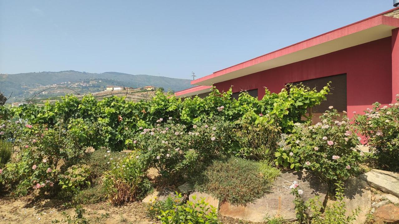 Quinta Dos Padrinhos - Suites In The Heart Of The Douro Lamego Εξωτερικό φωτογραφία