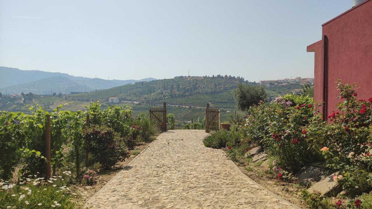 Quinta Dos Padrinhos - Suites In The Heart Of The Douro Lamego Εξωτερικό φωτογραφία