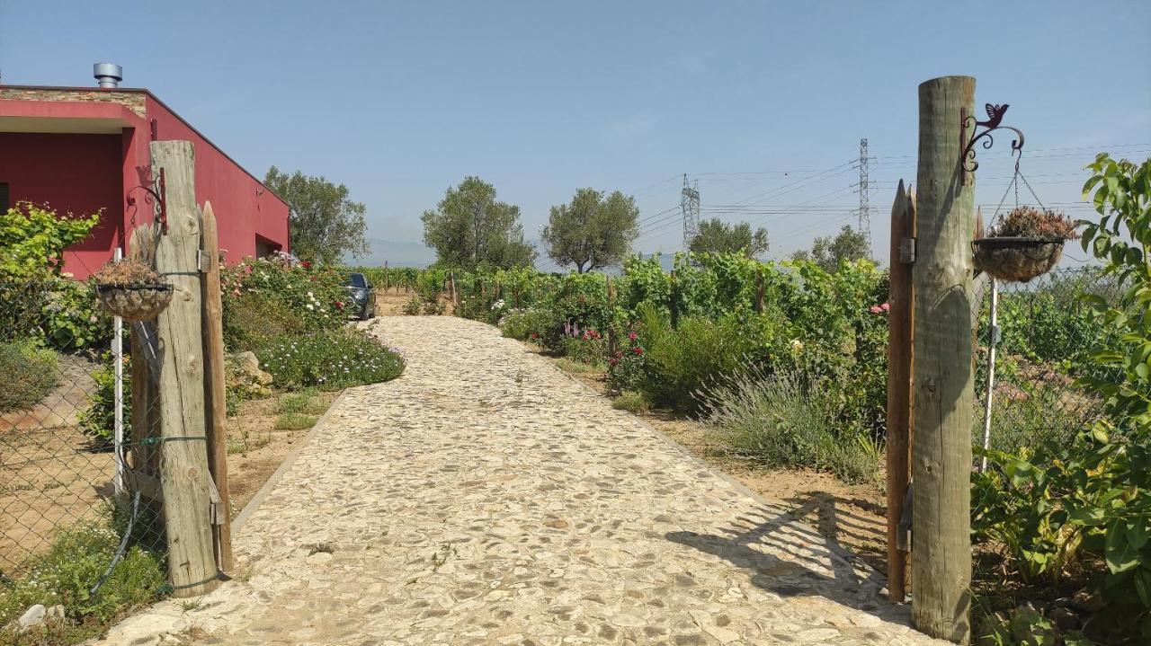 Quinta Dos Padrinhos - Suites In The Heart Of The Douro Lamego Εξωτερικό φωτογραφία