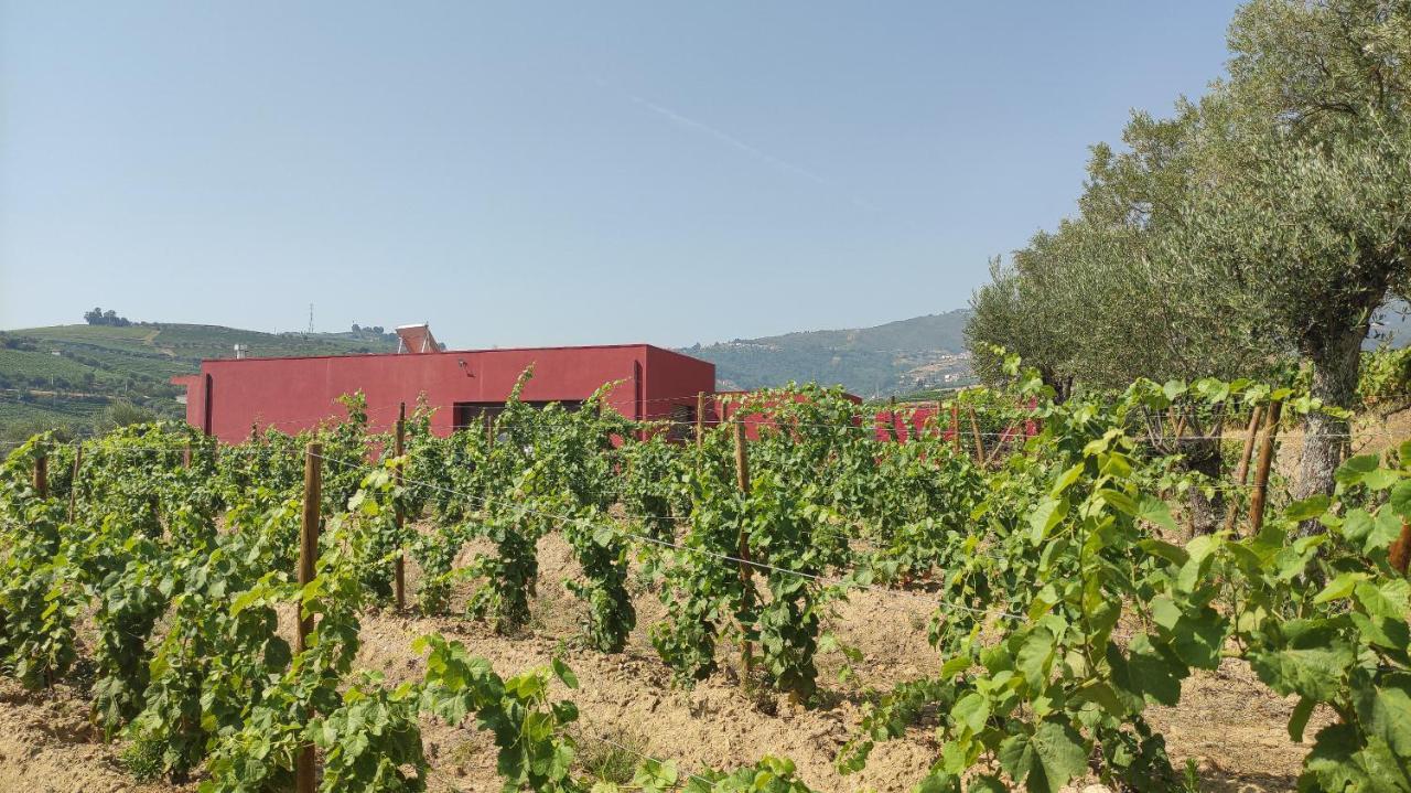 Quinta Dos Padrinhos - Suites In The Heart Of The Douro Lamego Εξωτερικό φωτογραφία