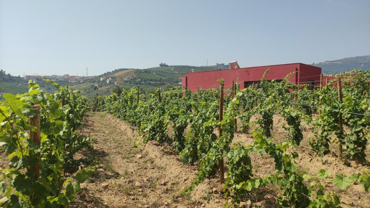 Quinta Dos Padrinhos - Suites In The Heart Of The Douro Lamego Εξωτερικό φωτογραφία