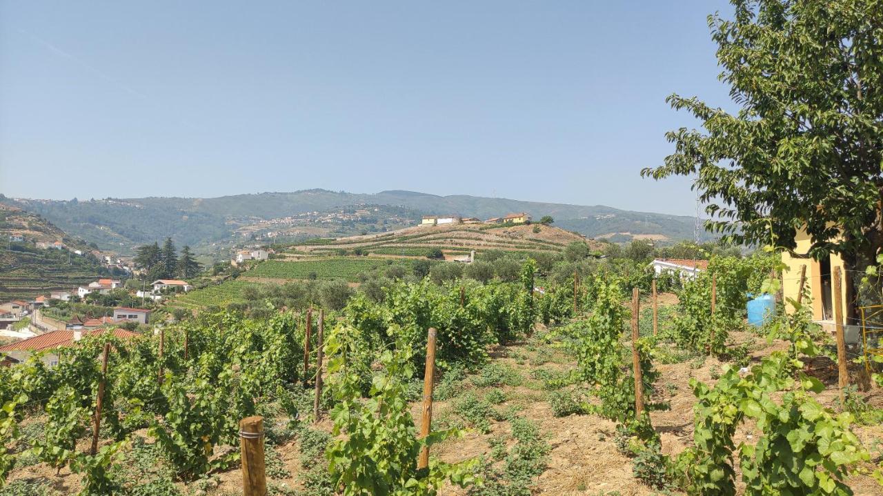 Quinta Dos Padrinhos - Suites In The Heart Of The Douro Lamego Εξωτερικό φωτογραφία
