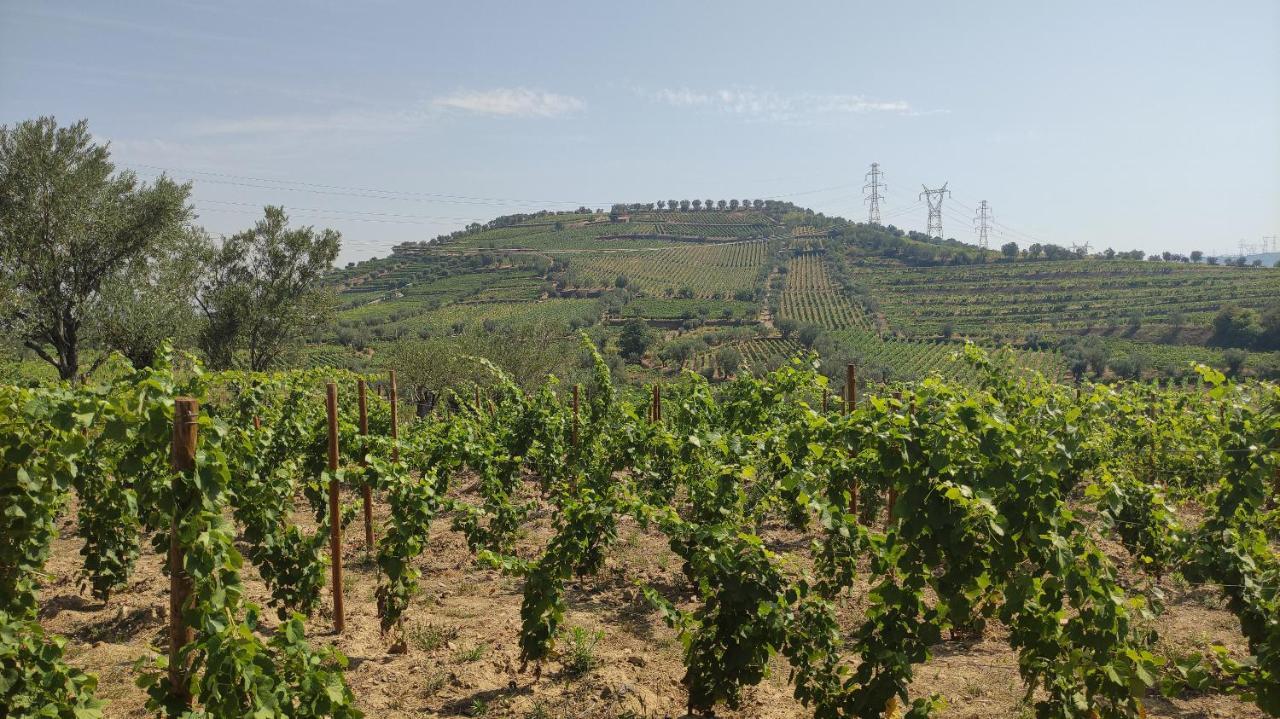 Quinta Dos Padrinhos - Suites In The Heart Of The Douro Lamego Εξωτερικό φωτογραφία