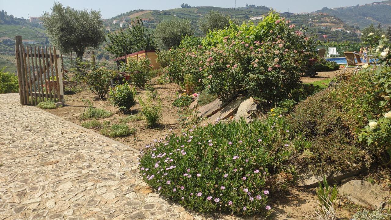 Quinta Dos Padrinhos - Suites In The Heart Of The Douro Lamego Εξωτερικό φωτογραφία
