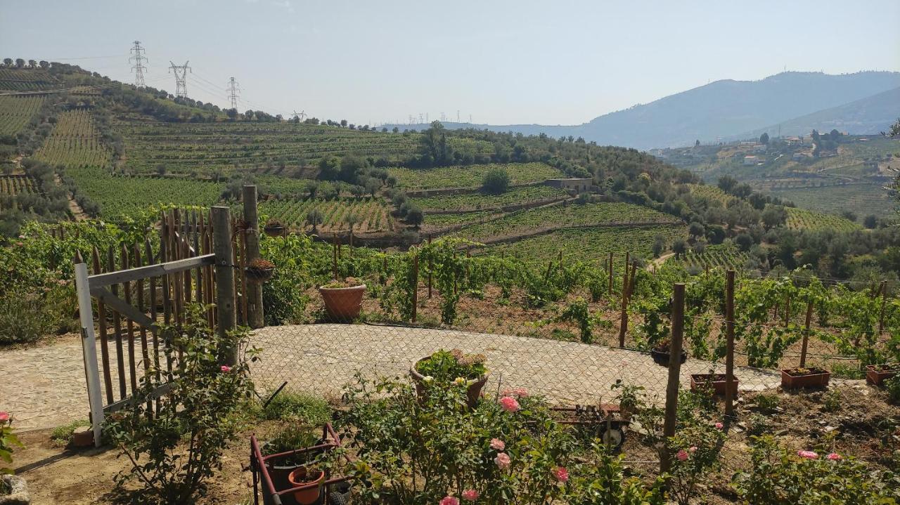 Quinta Dos Padrinhos - Suites In The Heart Of The Douro Lamego Εξωτερικό φωτογραφία